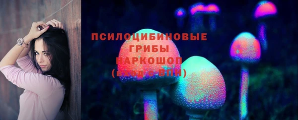 альфа пвп Няндома