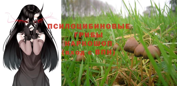 бутират Алзамай