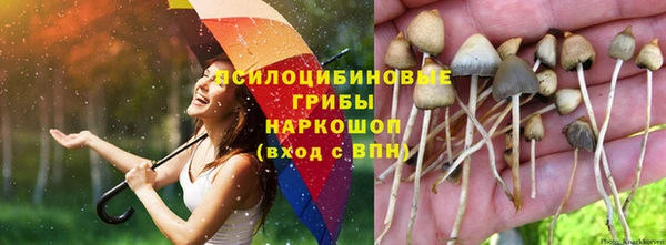 марки nbome Алексин
